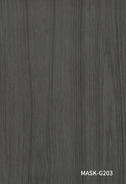 14、MASK-G203 (CAN-1)