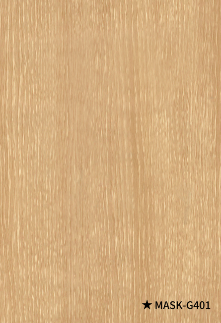 26、MASK-G401 P-16S